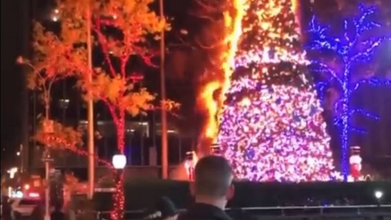 El incendio fue apagado por bomberos y personal de emergencia. Foto: Captura de pantalla.