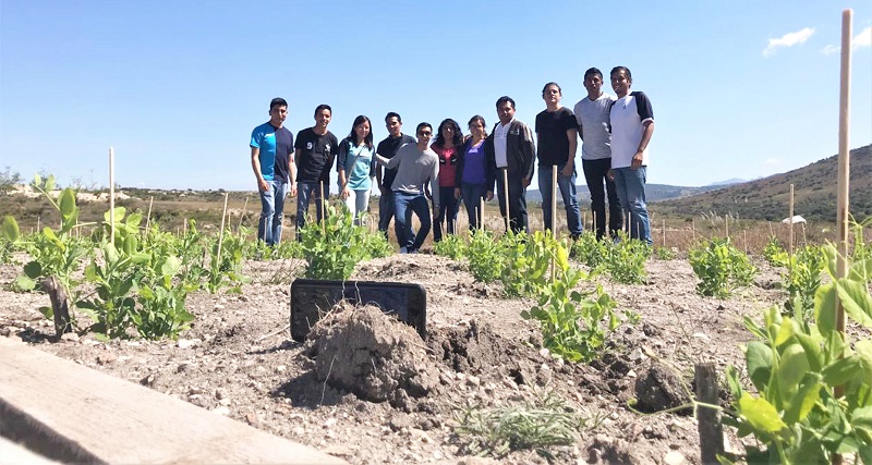 A través de la técnica Zaï y la aplicación de bokashi, se puso en marcha en el Ecocampus Valsequillo, donde el suelo es ácido y hay poca materia orgánica. (Especial)