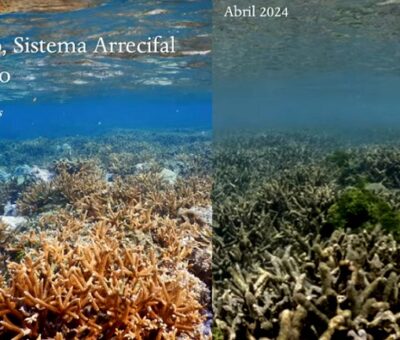 El biólogo marino Lorenzo Álvarez Filip dictó una conferencia sobre el cambio climático y sus efectos en los corales y arrecifes, como parte de las actividades del LNCBioCC. (UNAM)