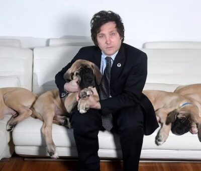 Javier Milei con sus perros clonados. MARCELO DUBINI (CARAS - PERFIL)