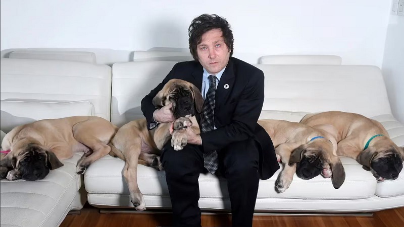 Javier Milei con sus perros clonados. MARCELO DUBINI (CARAS - PERFIL)