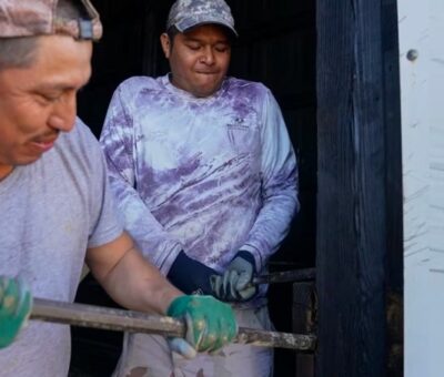 Dos trabajadores migrantes de Veracruz (México) trabajan en una granja en Kentucky, en marzo de 2024.JOSHUA A. BICKEL (AP)