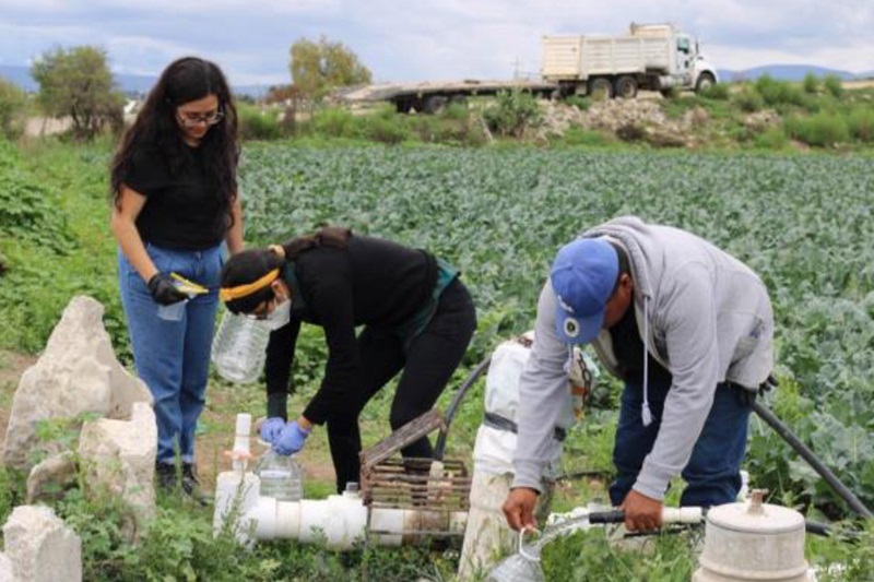 El 80 por ciento de las hortalizas que se exportan a Estados Unidos procede de México