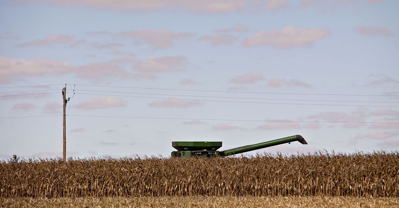 Una cosechadora recorre un campo de maíz en Malden (Illinois). DANIEL ACKER (BLOOMBERG)