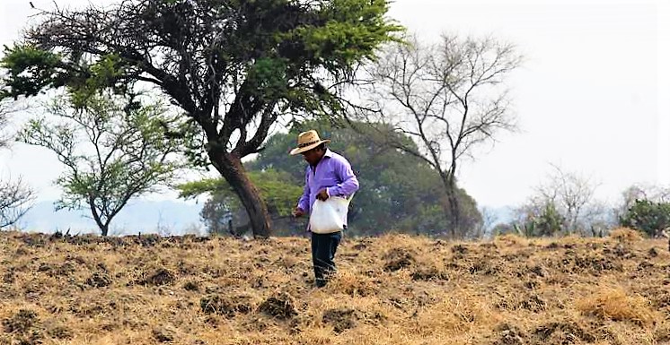 Sequía afecta producción del campo en Puebla. Foto: Julio César Martínez | El Sol de Puebla