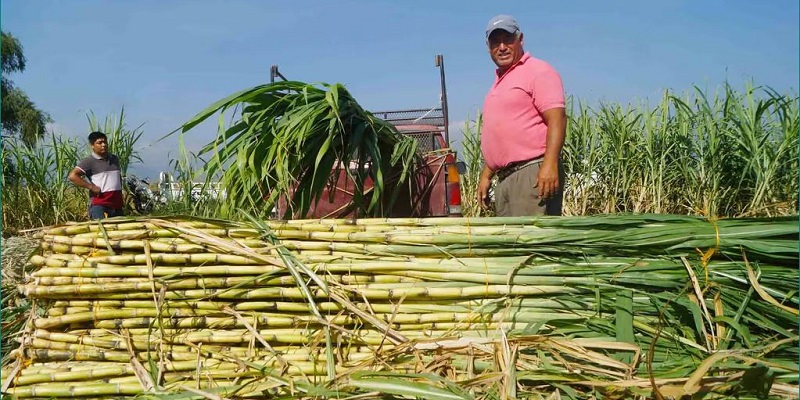 Frente al mes anterior, el sector agrícola avanzó un 1.2 %, la industria creció un 0.4 % y los servicios un 1 %. (ARCHIVO)