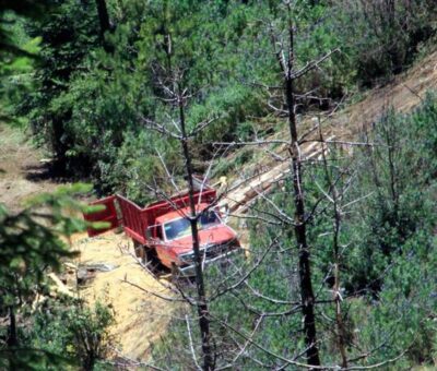 Testimonio de la tala clandestina en la reserva La Malinche en los límites de Puebla y Tlaxcala. Foto: El Sol de Puebla