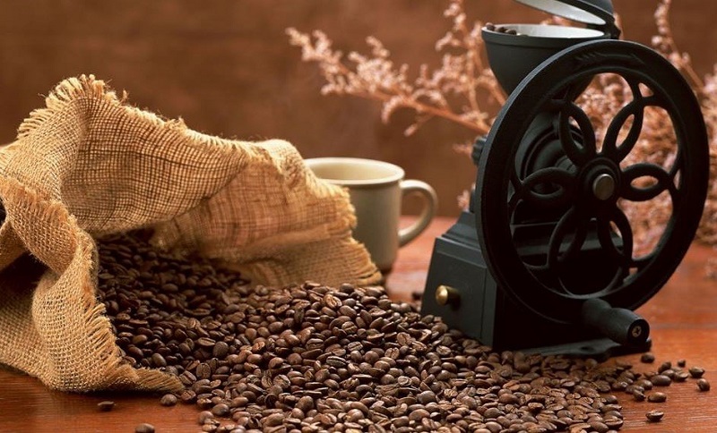 En México el café es un cultivo estratégico; su producción emplea a más de 500 mil productores. (Especial)