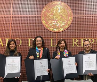 Siete investigadores son distinguidos por sus aportaciones y trayectoria profesional; además, una estudiante de doctorado. / Especial