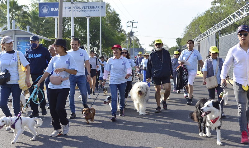 Festeja BUAP primer aniversario del Centro de Apoyo Emocional y Terapia Ocupacional con Animales (Especial)