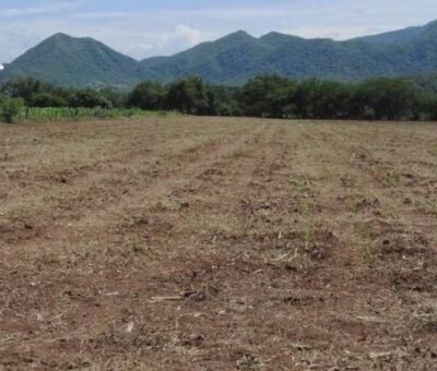 Valle de Tehuacán. Sequía. Foto: Cuartoscuro