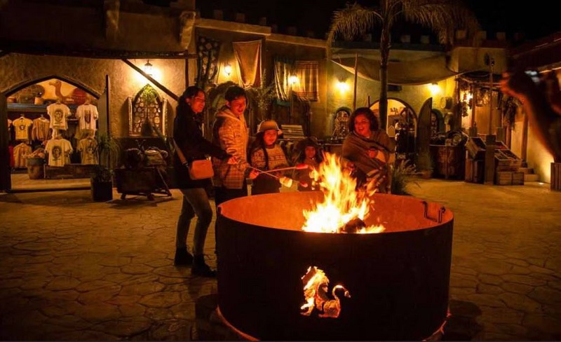 El Moon Safari es una experiencia salvaje y nocturna que puedes vivir en Puebla | Foto: Africam Safari