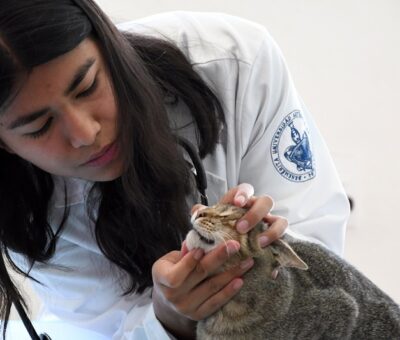 El Hospital Veterinario para Pequeñas Especies (BUAP)