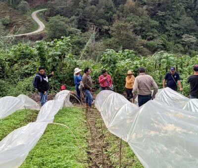 Cumple 50 años de estudiar el suelo y los métodos de producción en beneficio del campo mexicano. (BUAP)