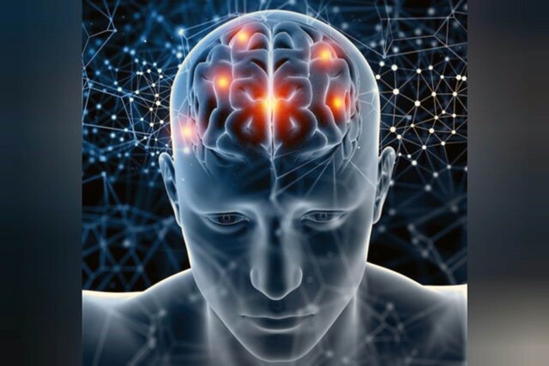 Día Mundial del Cerebro, que se conmemora hoy 22 de julio.