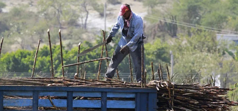 El ingenio de Calipam, ubicado en el municipio de Coxcatlán. Foto: Es Imagen