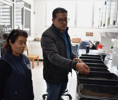 El ICUAP estudia el comportamiento biológico de la plaga conocida como “gallina ciega”, para su control. (BUAP).