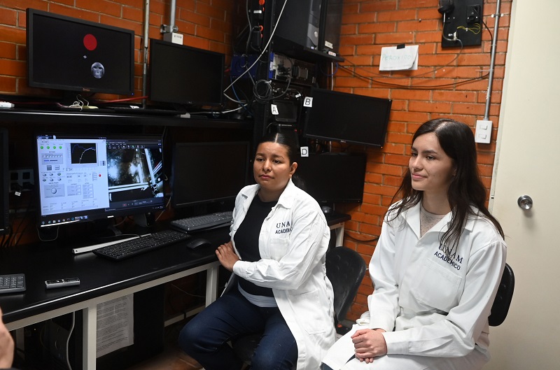 Los monos Rhesus, en condiciones de laboratorio, pueden aprender a asociar sonidos con imágenes. (UNAM)