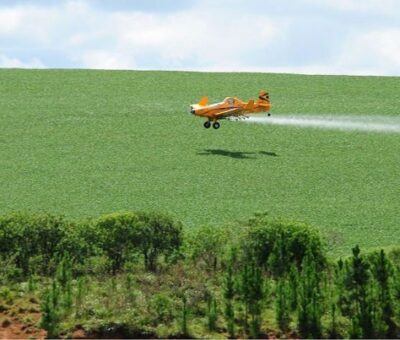 Efectos tóxicos en el cerebro de animales, por plaguicidas en la agricultura. (UNAM)