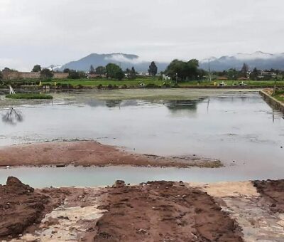 El Consejo Ciudadano por el Cuidado, Conservación y Preservación de la Laguna de Chignahuapan trabaja con el IPN. / Foto: Edgar Barrios / El Sol de Puebla