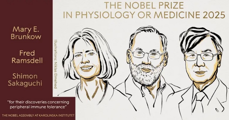 Mary E. Brunkow, Fred Ramsdell y el doctor Shimon Sakaguchi ganaron el Nobel de Medicina.