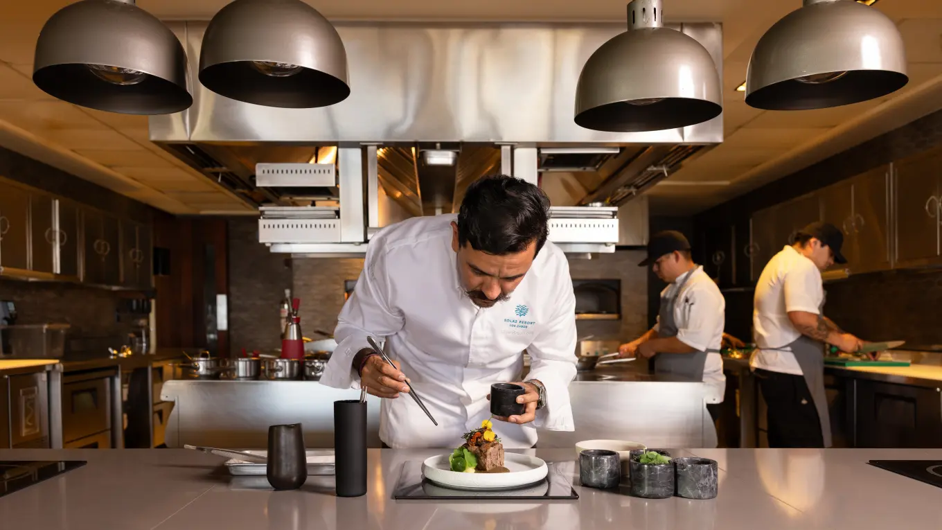 Restaurantes, Industria restaurantera, gastronomía,