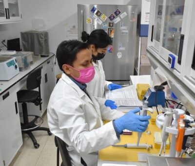 Estudian en la BUAP cannabinoides para tratamiento de epilepsia