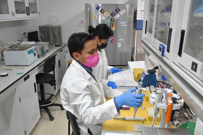 Estudian en la BUAP cannabinoides para tratamiento de epilepsia