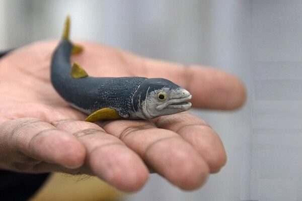 Laboratorio de Paleobiología de la BUAP, evidencia de vida del pasado para interpretar el presente y vislumbrar un futuro. Fotos: BUAP
