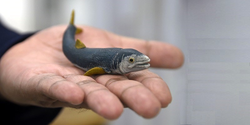 Laboratorio de Paleobiología de la BUAP, evidencia de vida del pasado para interpretar el presente y vislumbrar un futuro. Fotos: BUAP